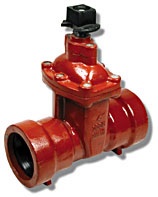 2-inch Threaded Gate Valve