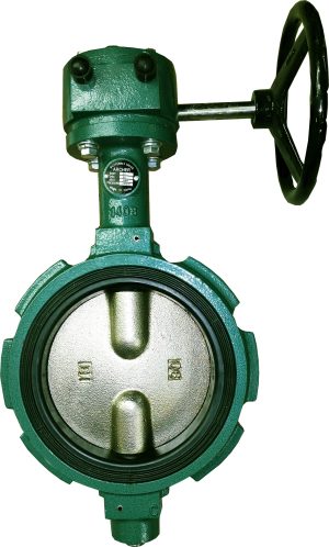 8-inch Emerald Archer Butterfly Valve with Gear