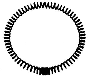 Ames Type Spring