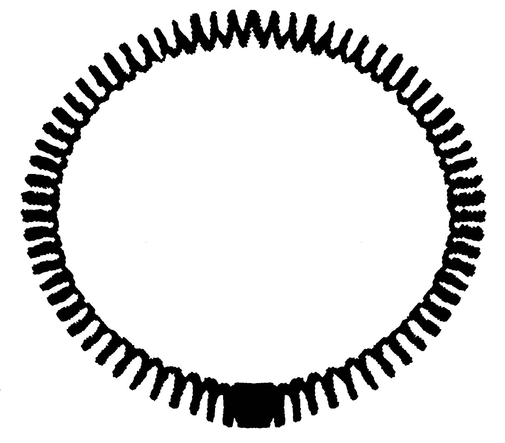 Ames Type Spring
